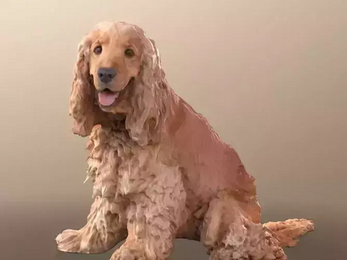 CGTrader 3D Models Available for only Filextras Members - 2 CGTrader 3D Models Available for only Filextras Members - 2