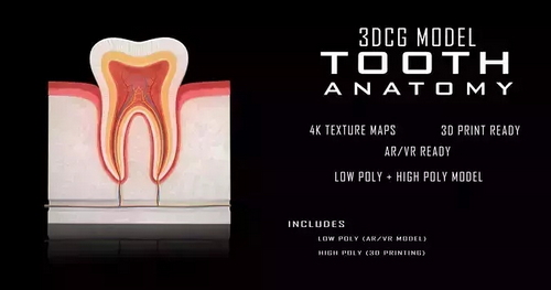 CGTrader 3D Models Available for only Filextras Members - 2 CGTrader 3D Models Available for only Filextras Members - 2