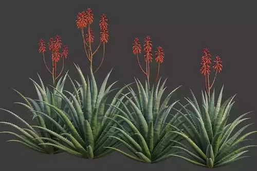 CGTrader 3D Models Available for only Filextras Members - 2 CGTrader 3D Models Available for only Filextras Members - 2