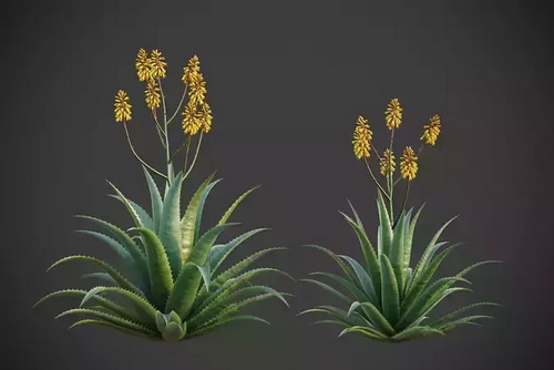 CGTrader 3D Models Available for only Filextras Members - 2 CGTrader 3D Models Available for only Filextras Members - 2