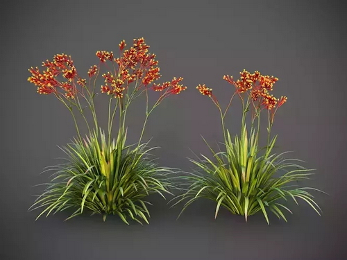 CGTrader 3D Models Available for only Filextras Members - 2 CGTrader 3D Models Available for only Filextras Members - 2