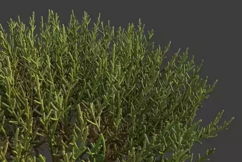 CGTrader 3D Models Available for only Filextras Members - 2 CGTrader 3D Models Available for only Filextras Members - 2