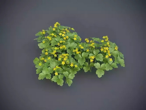 CGTrader 3D Models Available for only Filextras Members - 2 CGTrader 3D Models Available for only Filextras Members - 2