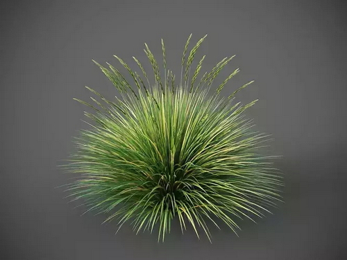 CGTrader 3D Models Available for only Filextras Members - 2 CGTrader 3D Models Available for only Filextras Members - 2