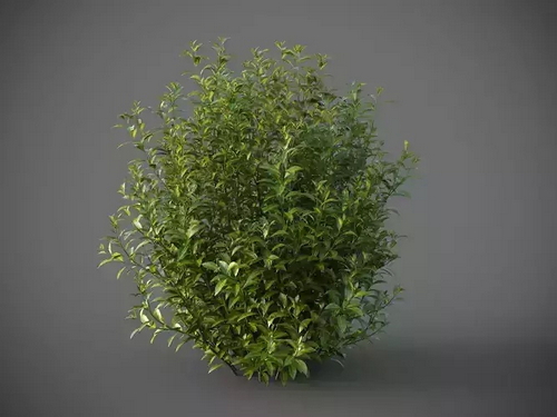 CGTrader 3D Models Available for only Filextras Members - 2 CGTrader 3D Models Available for only Filextras Members - 2