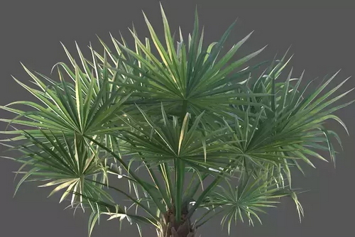 CGTrader 3D Models Available for only Filextras Members - 2 CGTrader 3D Models Available for only Filextras Members - 2