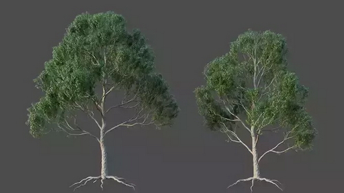 CGTrader 3D Models Available for only Filextras Members - 2 CGTrader 3D Models Available for only Filextras Members - 2