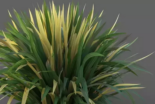 CGTrader 3D Models Available for only Filextras Members - 2 CGTrader 3D Models Available for only Filextras Members - 2