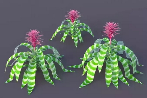 CGTrader 3D Models Available for only Filextras Members - 2 CGTrader 3D Models Available for only Filextras Members - 2