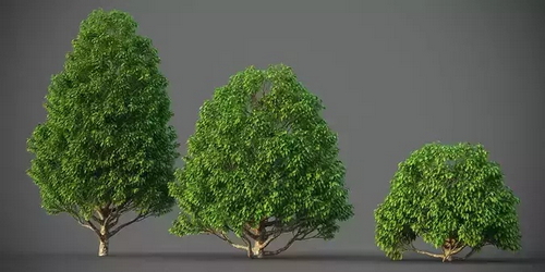 CGTrader 3D Models Available for only Filextras Members - 2 CGTrader 3D Models Available for only Filextras Members - 2