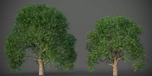 CGTrader 3D Models Available for only Filextras Members CGTrader 3D Models Available for only Filextras Members