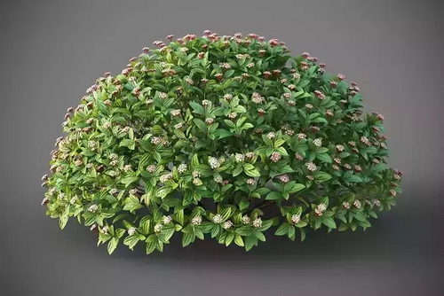 CGTrader 3D Models Available for only Filextras Members CGTrader 3D Models Available for only Filextras Members