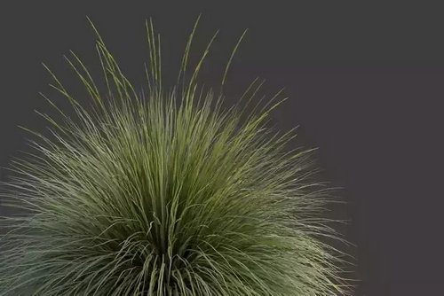 CGTrader 3D Models Available for only Filextras Members - 2 CGTrader 3D Models Available for only Filextras Members - 2