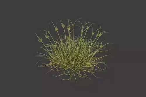 CGTrader 3D Models Available for only Filextras Members - 2 CGTrader 3D Models Available for only Filextras Members - 2