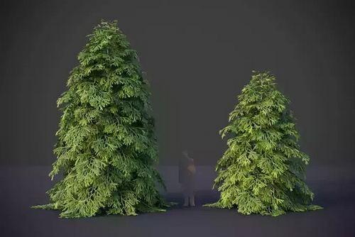 CGTrader 3D Models Available for only Filextras Members - 2 CGTrader 3D Models Available for only Filextras Members - 2