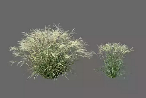 CGTrader 3D Models Available for only Filextras Members - 2 CGTrader 3D Models Available for only Filextras Members - 2