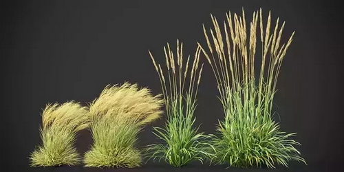 CGTrader 3D Models Available for only Filextras Members CGTrader 3D Models Available for only Filextras Members