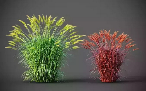 CGTrader 3D Models Available for only Filextras Members CGTrader 3D Models Available for only Filextras Members