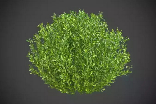 CGTrader 3D Models Available for only Filextras Members CGTrader 3D Models Available for only Filextras Members