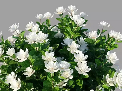 CGTrader 3D Models Available for only Filextras Members CGTrader 3D Models Available for only Filextras Members