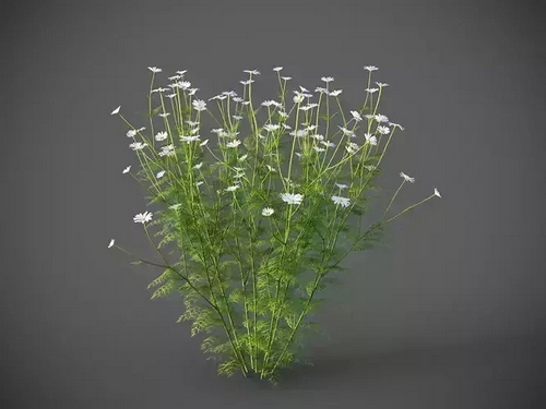 CGTrader 3D Models Available for only Filextras Members CGTrader 3D Models Available for only Filextras Members