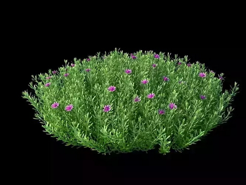 CGTrader 3D Models Available for only Filextras Members CGTrader 3D Models Available for only Filextras Members