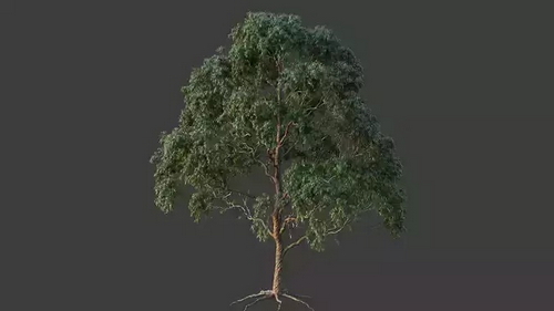 CGTrader 3D Models Available for only Filextras Members - 2 CGTrader 3D Models Available for only Filextras Members - 2