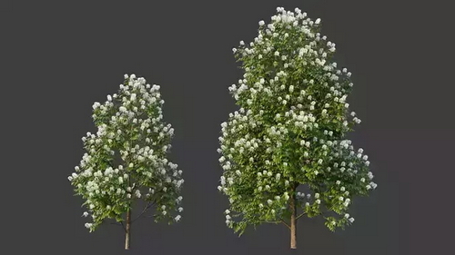 CGTrader 3D Models Available for only Filextras Members - 2 CGTrader 3D Models Available for only Filextras Members - 2