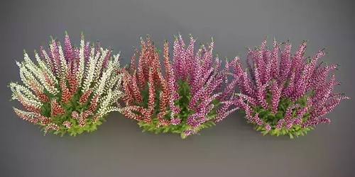 CGTrader 3D Models Available for only Filextras Members CGTrader 3D Models Available for only Filextras Members