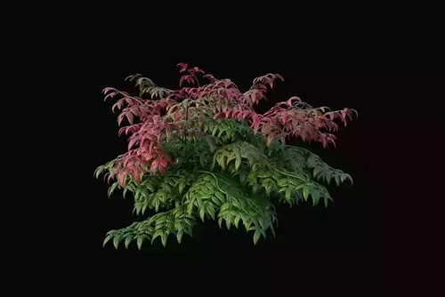 CGTrader 3D Models Available for only Filextras Members - 2 CGTrader 3D Models Available for only Filextras Members - 2