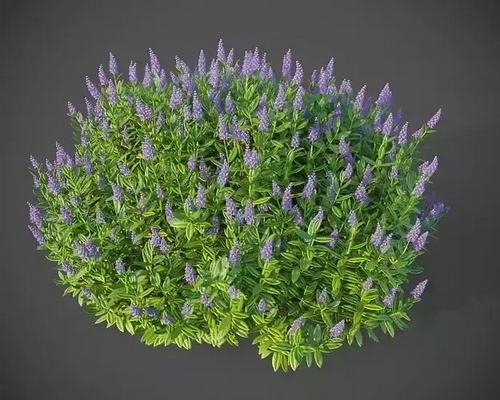 CGTrader 3D Models Available for only Filextras Members - 2 CGTrader 3D Models Available for only Filextras Members - 2