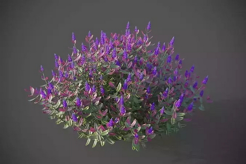 CGTrader 3D Models Available for only Filextras Members - 2 CGTrader 3D Models Available for only Filextras Members - 2