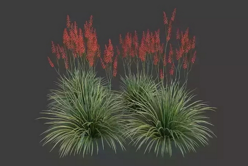 CGTrader 3D Models Available for only Filextras Members - 2 CGTrader 3D Models Available for only Filextras Members - 2