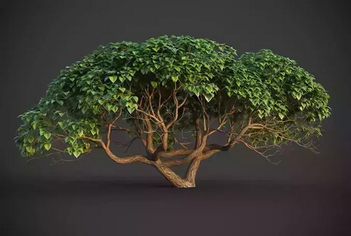 CGTrader 3D Models Available for only Filextras Members - 2 CGTrader 3D Models Available for only Filextras Members - 2