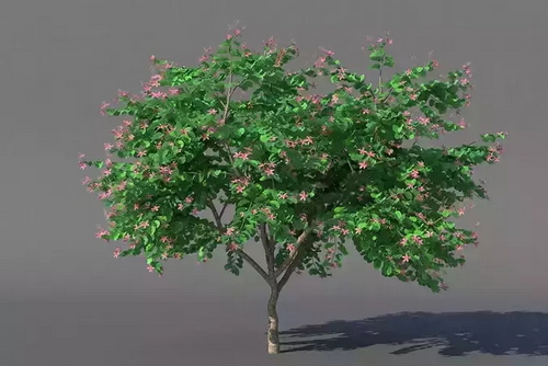 CGTrader 3D Models Available for only Filextras Members - 2 CGTrader 3D Models Available for only Filextras Members - 2