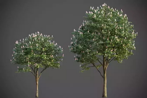 CGTrader 3D Models Available for only Filextras Members CGTrader 3D Models Available for only Filextras Members