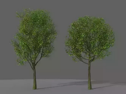 CGTrader 3D Models Available for only Filextras Members - 2 CGTrader 3D Models Available for only Filextras Members - 2