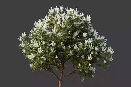 CGTrader 3D Models Available for only Filextras Members - 2 CGTrader 3D Models Available for only Filextras Members - 2