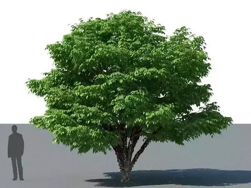 CGTrader 3D Models Available for only Filextras Members CGTrader 3D Models Available for only Filextras Members