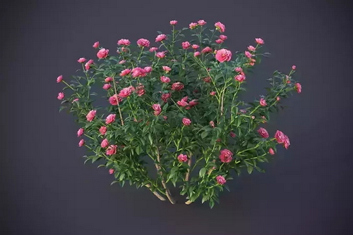 CGTrader 3D Models Available for only Filextras Members CGTrader 3D Models Available for only Filextras Members