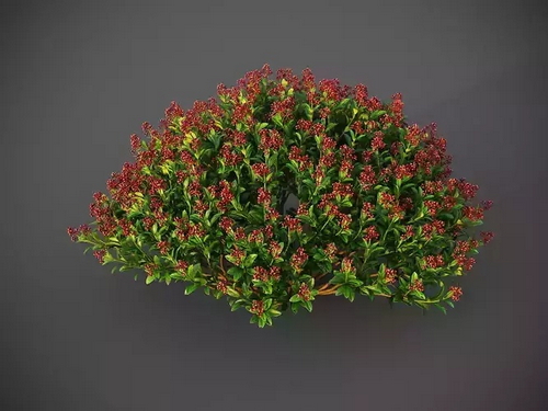 CGTrader 3D Models Available for only Filextras Members CGTrader 3D Models Available for only Filextras Members