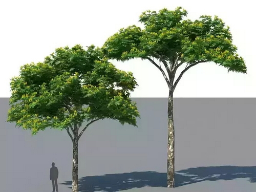 CGTrader 3D Models Available for only Filextras Members - 2 CGTrader 3D Models Available for only Filextras Members - 2