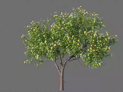 CGTrader 3D Models Available for only Filextras Members - 2 CGTrader 3D Models Available for only Filextras Members - 2