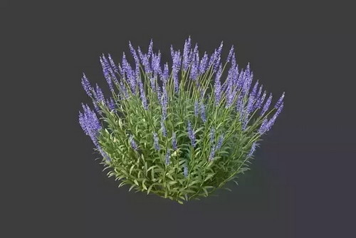 CGTrader 3D Models Available for only Filextras Members CGTrader 3D Models Available for only Filextras Members