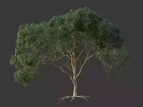 CGTrader 3D Models Available for only Filextras Members - 2 CGTrader 3D Models Available for only Filextras Members - 2