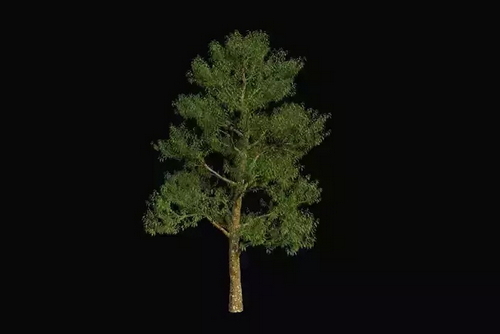 CGTrader 3D Models Available for only Filextras Members - 2 CGTrader 3D Models Available for only Filextras Members - 2