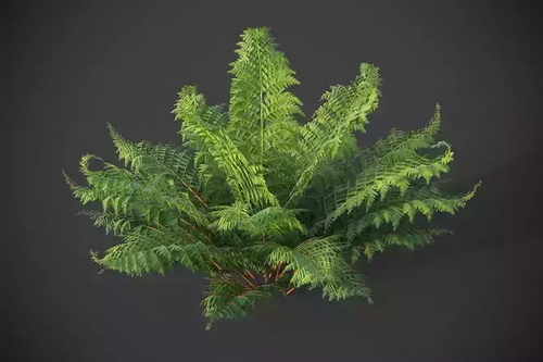 CGTrader 3D Models Available for only Filextras Members CGTrader 3D Models Available for only Filextras Members