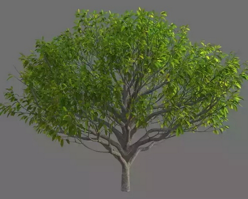 CGTrader 3D Models Available for only Filextras Members - 2 CGTrader 3D Models Available for only Filextras Members - 2