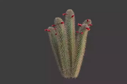 CGTrader 3D Models Available for only Filextras Members - 2 CGTrader 3D Models Available for only Filextras Members - 2