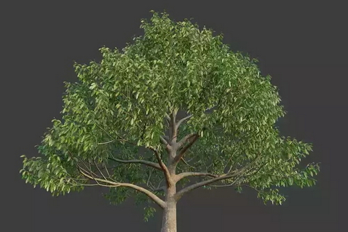 CGTrader 3D Models Available for only Filextras Members CGTrader 3D Models Available for only Filextras Members